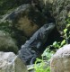 Thumbs/tn_Locals on Cozumel.jpg